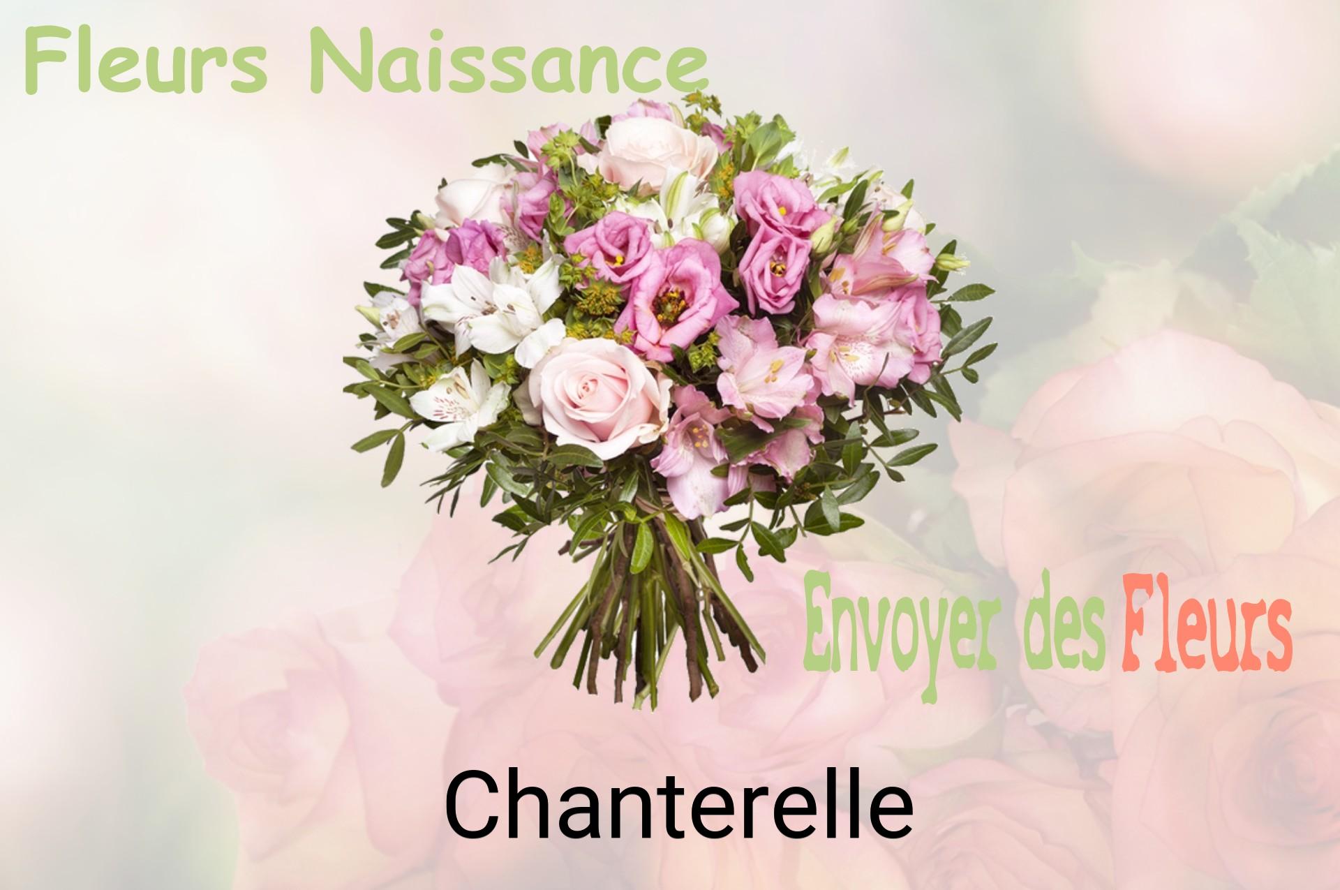 Bouquet de fleurs de naissance livré à Chanterelle